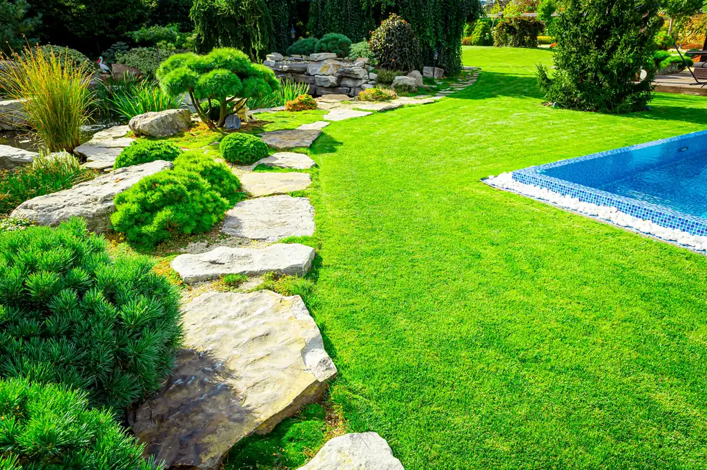 Flagstone path and evergreens Flagstone stepping path across a lawn with evergreens and boulders beside a pool in Parker, CO
