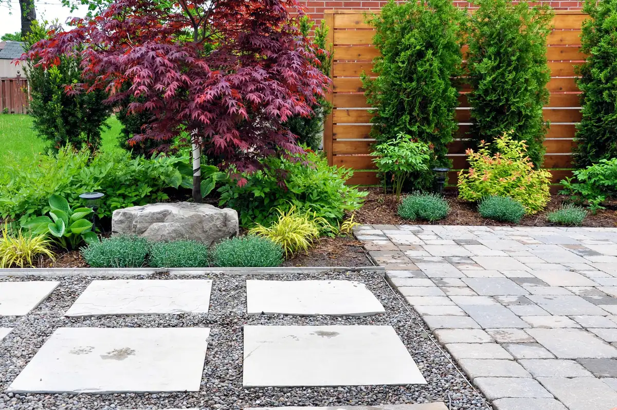 Japanese garden design Japanese-style garden with a red maple, boulders, gravel and square pavers by a cedar fence in Castle Rock, near Parker, CO