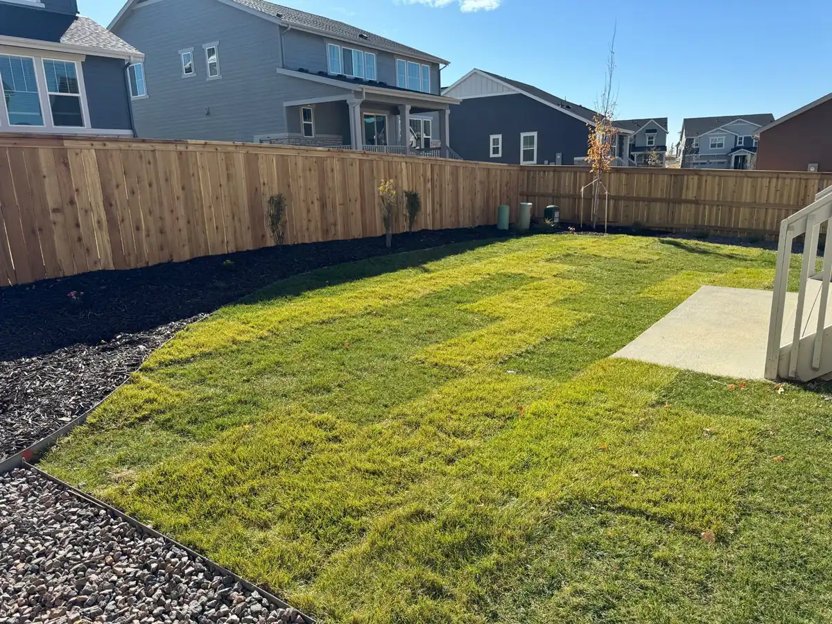 New sod, trees and shrubs Rear yard with new sod, black mulch beds and young trees along a cedar fence in Aurora, near Parker, CO