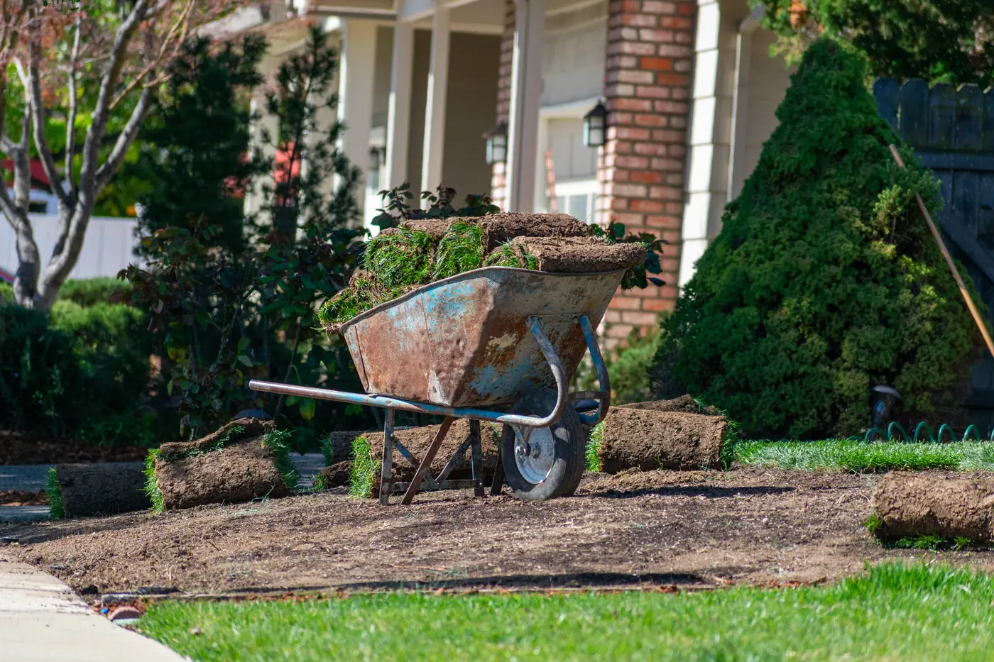 Sod rolls ready to lay Sod rolls on a wheelbarrow ready to lay beside a home in Castle Pines, near Parker, CO
