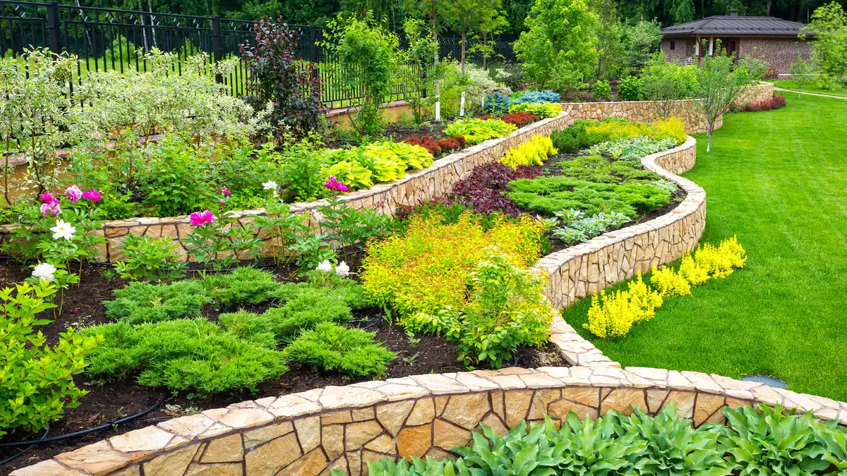Terraced stone garden beds Terraced garden beds with stacked stone walls, colorful shrubs and perennials in Parker, CO